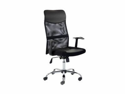 Auberry – Executive Mesh Chair with Arms -