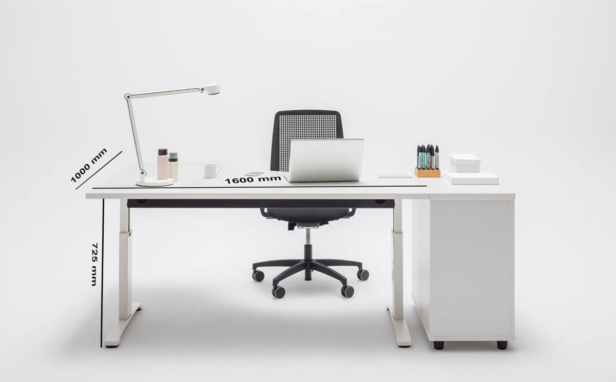 Ergonomic Master Dimension Sizes