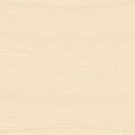 Ma White Maple