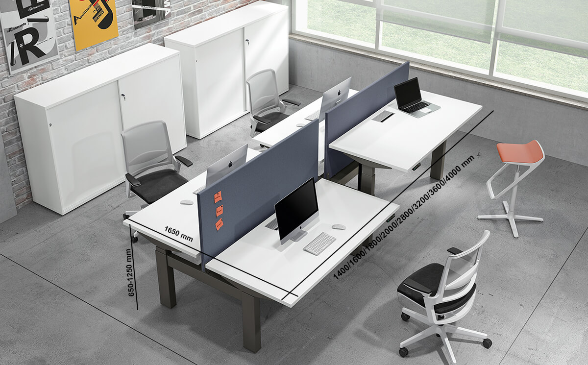 Clariss 3 Back To Back 2 Step Height Adjustable Operational Office Desk With Optional Dividing Screen For 2 & 4 Persons Size Img
