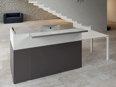 Rachi 1 – Reception Desk 4