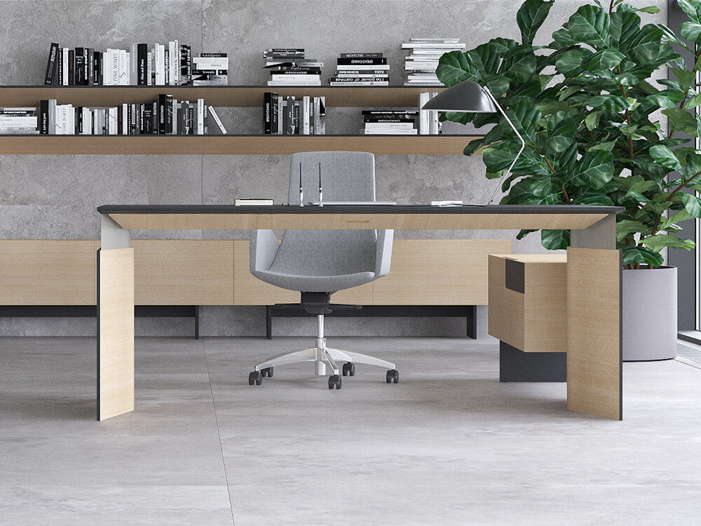 Fabron 1 Operational Desk With Height Adjustable Panel Legs And Operational Credenza 2