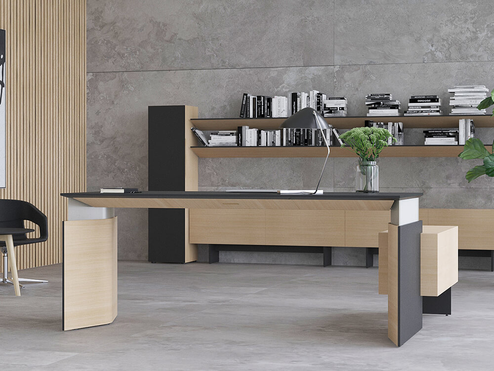Fabron 1 Operational Desk With Height Adjustable Panel Legs And Operational Credenza 3