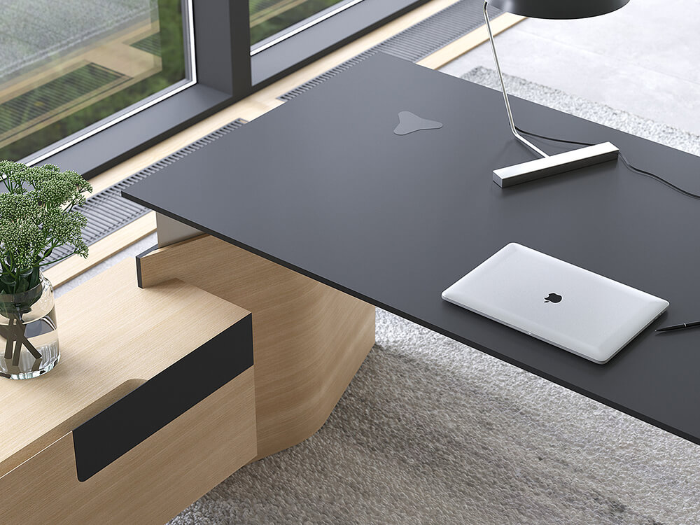 Fabron 1 Operational Desk With Height Adjustable Panel Legs And Operational Credenza 4