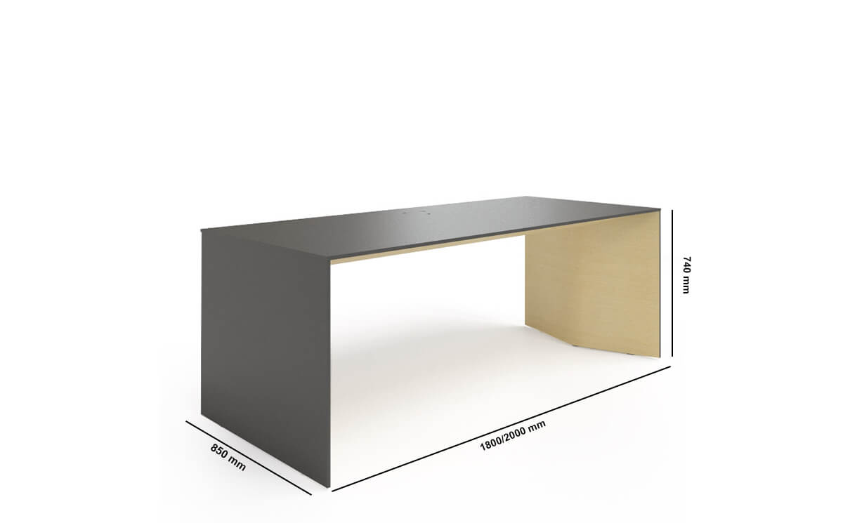 Fabron – Executive Desk With Panel Legs
