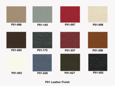 P01 Leather Finish 2025