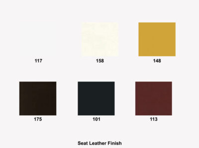 Seat Leather Finish