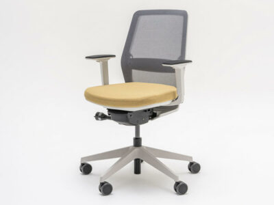 Ragni Office Chair With Mesh Backrest