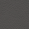 Anthracite Leather