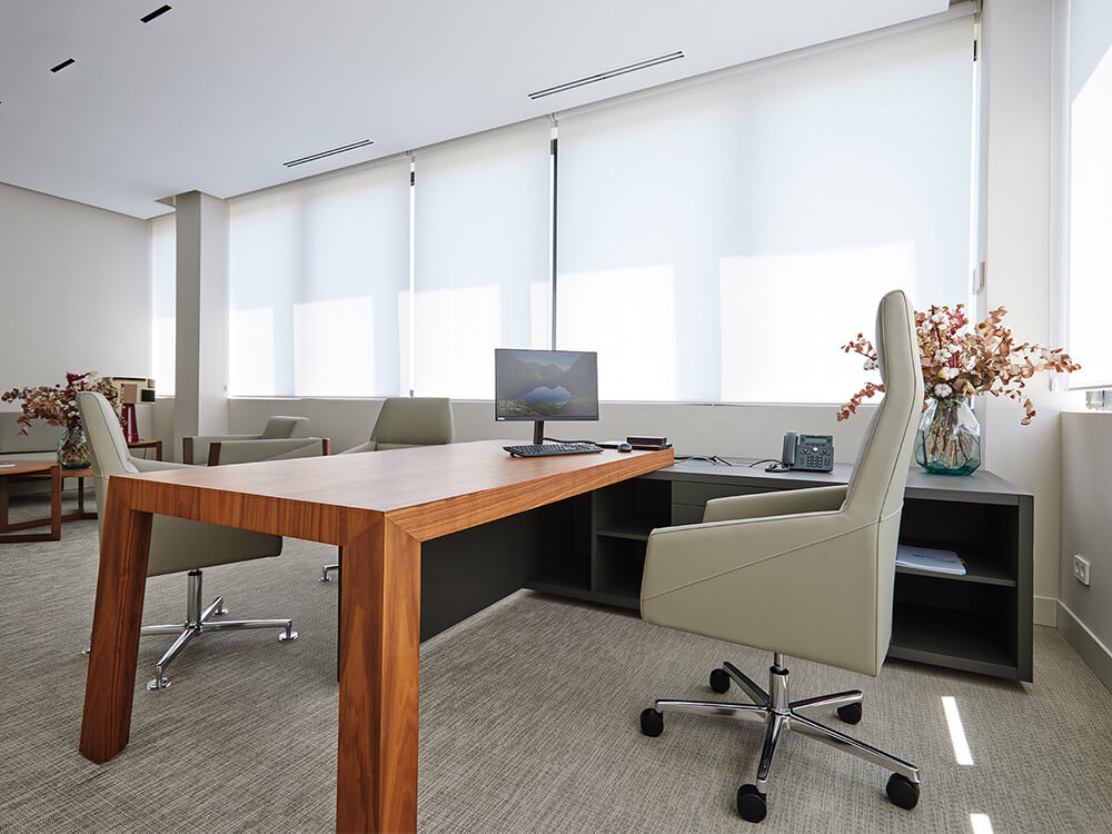 Anna Modern Executive Desk With Credenza Unit