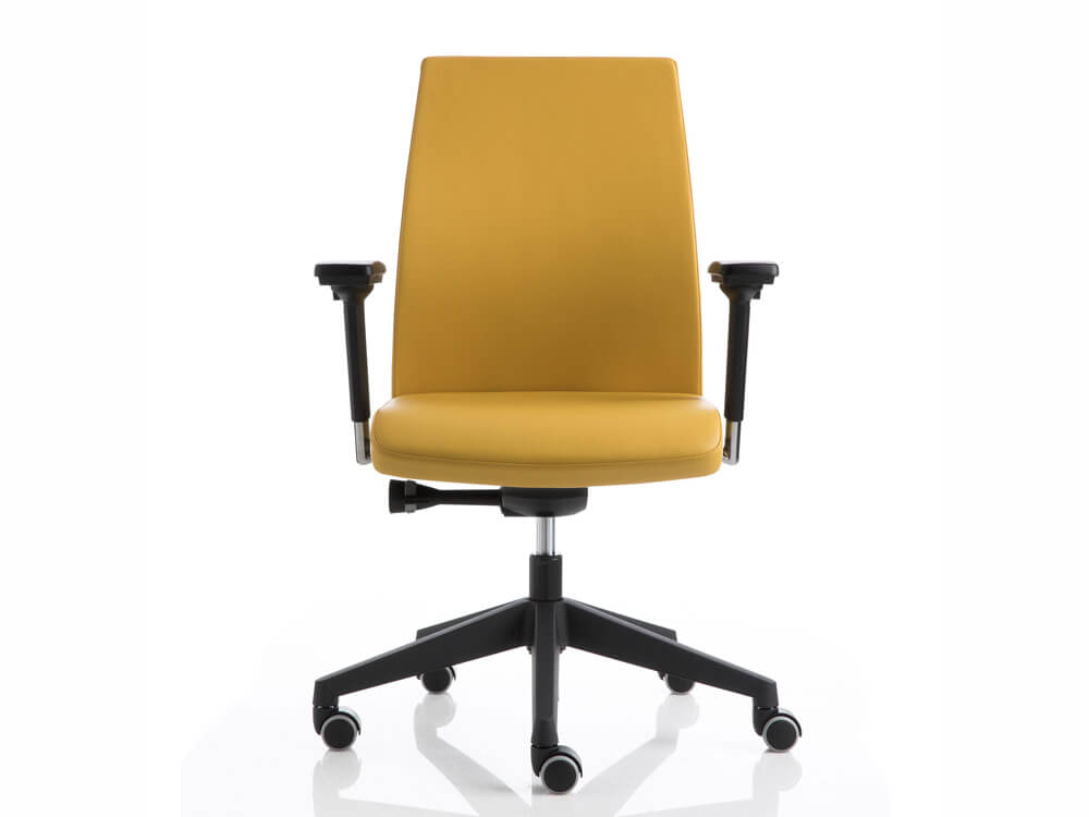 Clifton 2 Meduim Backrest Executive Chair With Height Adjustablechrome Armerst, Nylon Base