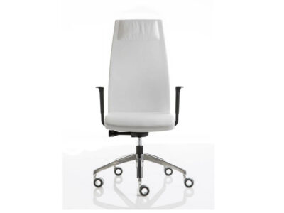 Clifton High Backrest Executive Chair With Open Armrest Blackaluminum Basewith Headrest