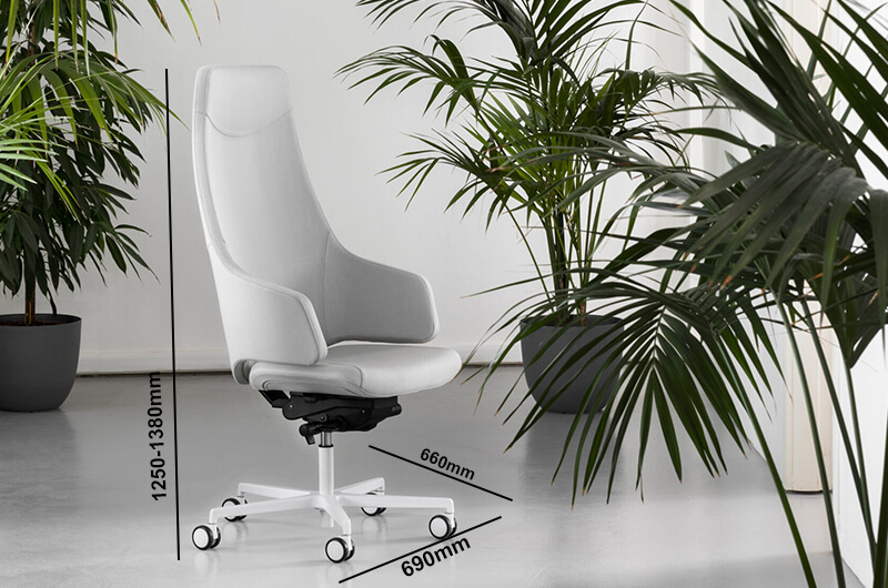 Lenny High Back Executive Chairs Size Img 1 Lenny High Back Executive Chairs Size Img 1