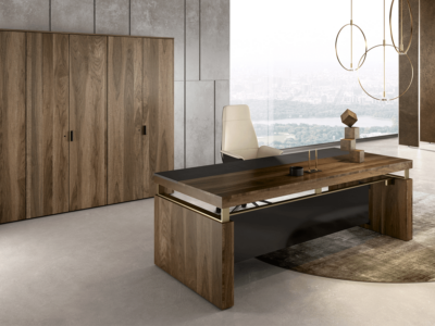 Luisa Modern Wood Finish Eco Leather Executive Desk 3