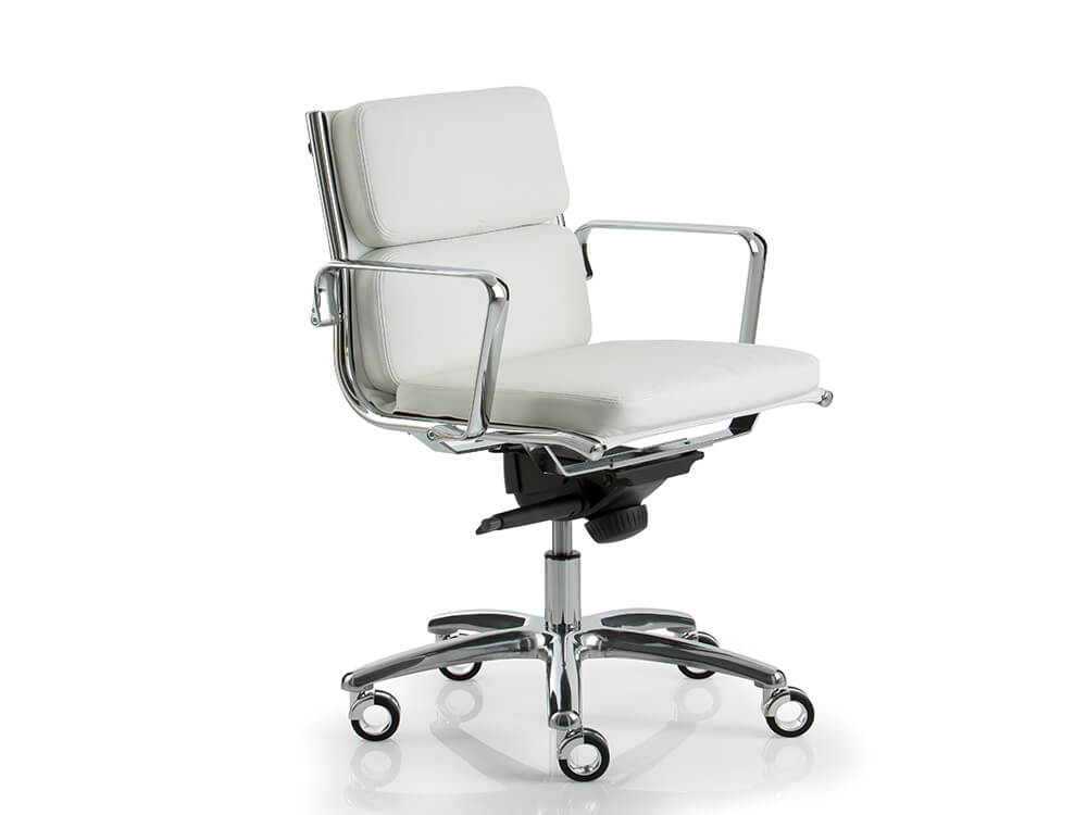 Raimona 1 Medium And High Backrest Executive Chairs 02 Img