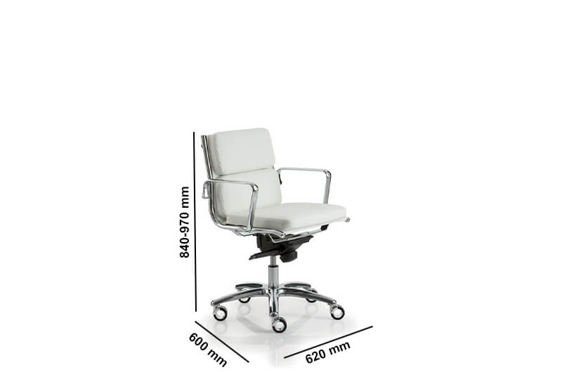 Raimona 1 Medium And High Backrest Executive Chairs Size Img