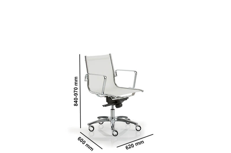 Raimona 2 Medium And High Backrest Executive Chairs Size Img