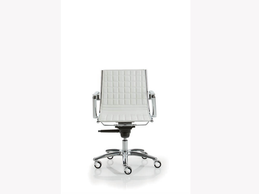 Raimona Medium Backrest Executive Chairs 06