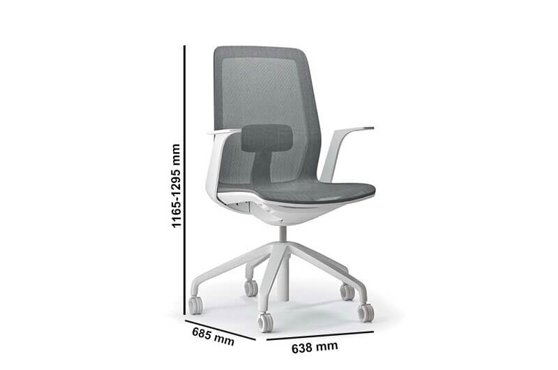 Sarita 1 Low Back Chair Size