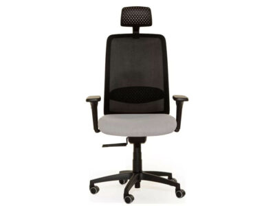 Neiva High Back With Fixed Headrest And Adjustable Armrests Executive Chairs 01 Img