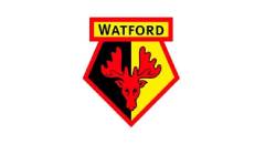 Watford Fc
