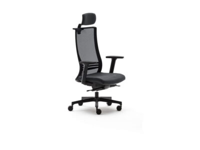 Domenica Back Mesh Executive Chair With Headrest 1