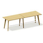 Medium Rectangle Shape Table (10 person)