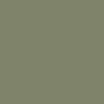 Olive Semi Matt