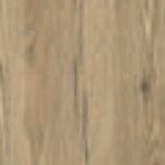 Brunswick Oak