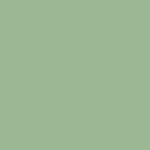 Plastic Shell Green 2
