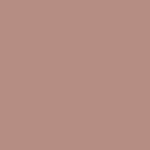 Plastic Shell Pink