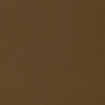Bl Bronze J 2025