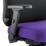 Nyra Height Adjustable & Folding Arms