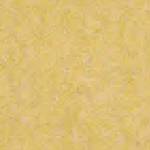 Sy45 (lds45)