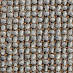Bracken (cra03)