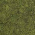 Moss