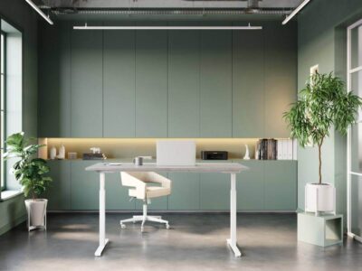 Rayleine Rectangular Electric Height Adjustable Desk Main Img