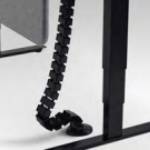 Cable Spine
