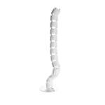 Dy White Spine